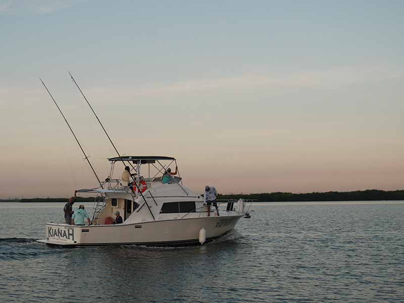 Fishing Charters in Cancun